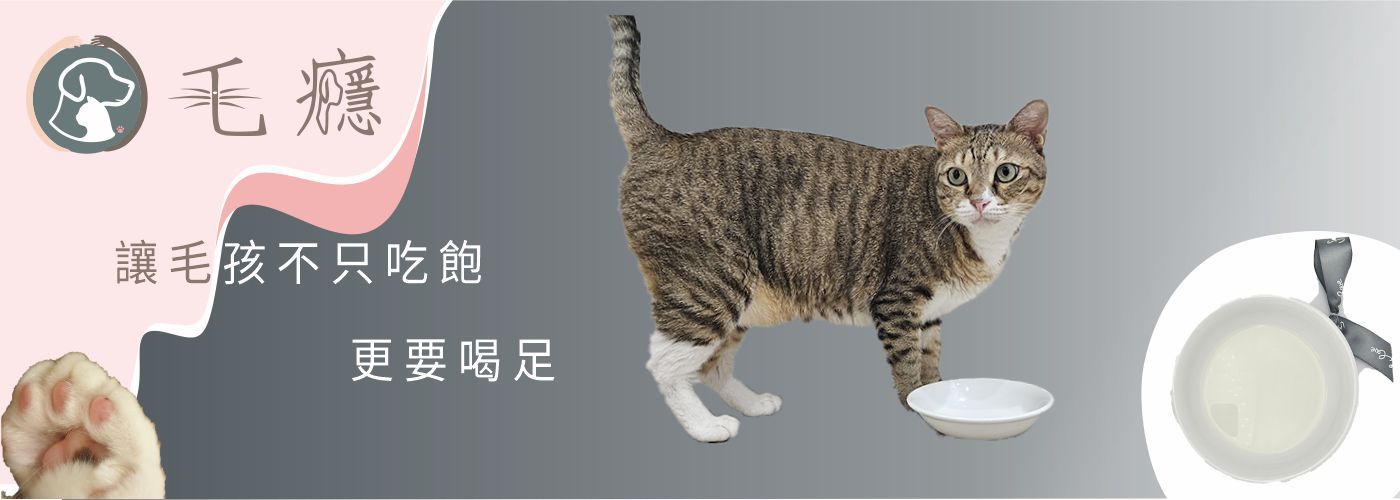 第一商品